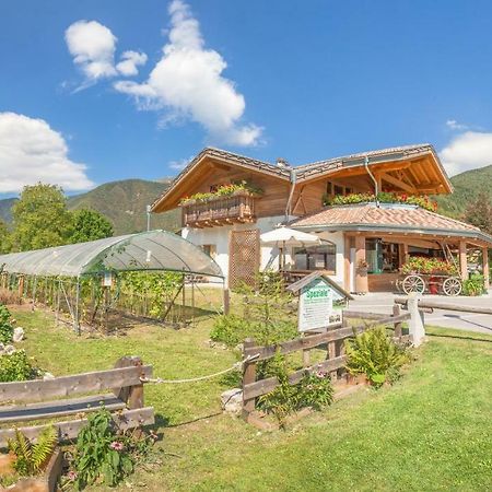 B&B Dalla Fattoria Della Patty Pieve Di Ledro Zewnętrze zdjęcie