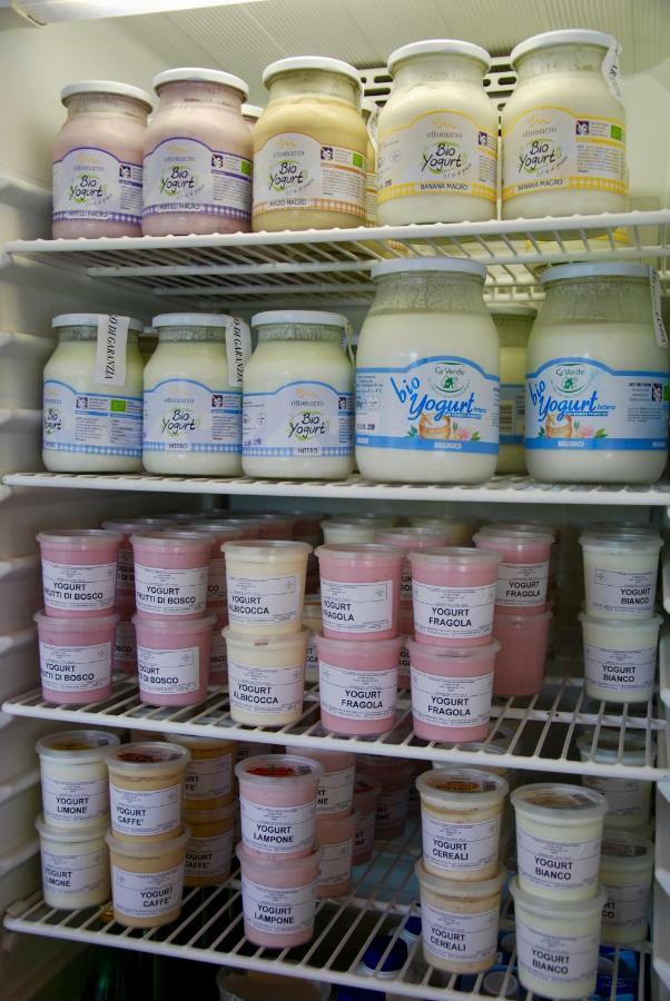 B&B Dalla Fattoria Della Patty Pieve Di Ledro Zewnętrze zdjęcie