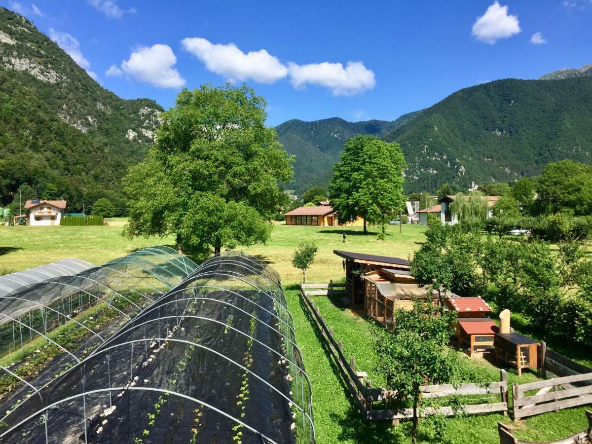 B&B Dalla Fattoria Della Patty Pieve Di Ledro Zewnętrze zdjęcie
