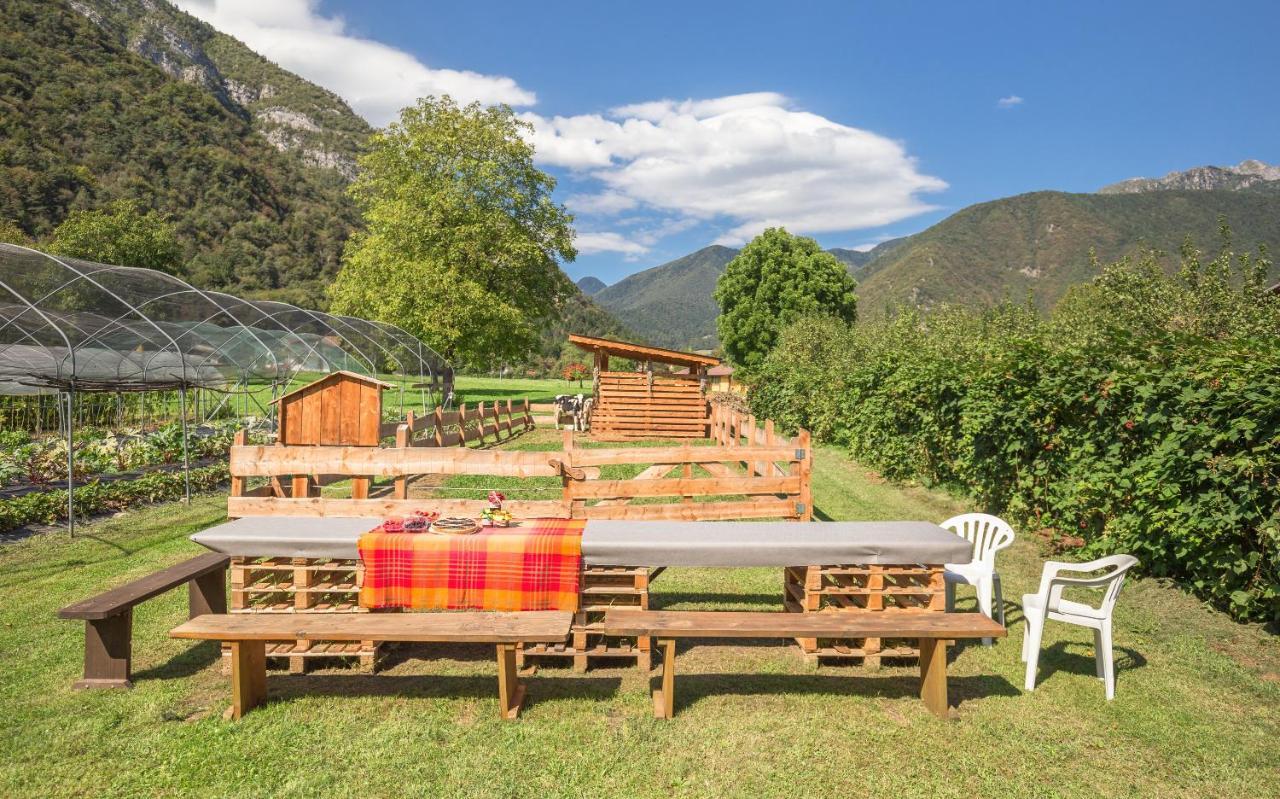 B&B Dalla Fattoria Della Patty Pieve Di Ledro Zewnętrze zdjęcie