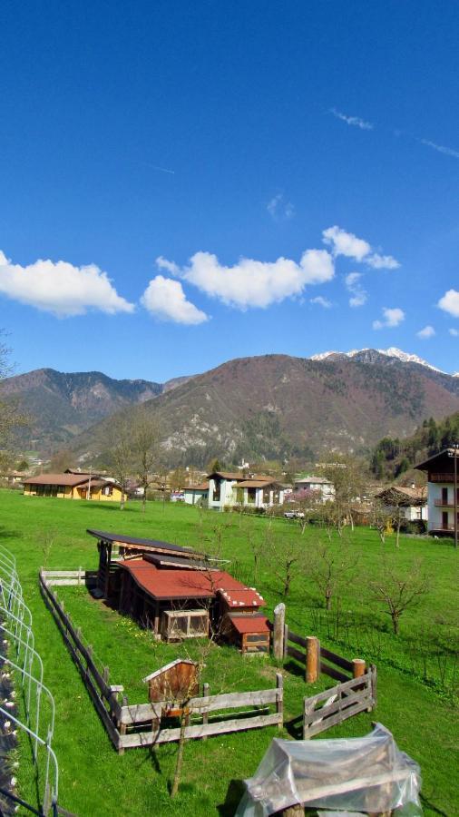 B&B Dalla Fattoria Della Patty Pieve Di Ledro Zewnętrze zdjęcie